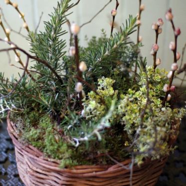 Herb basket